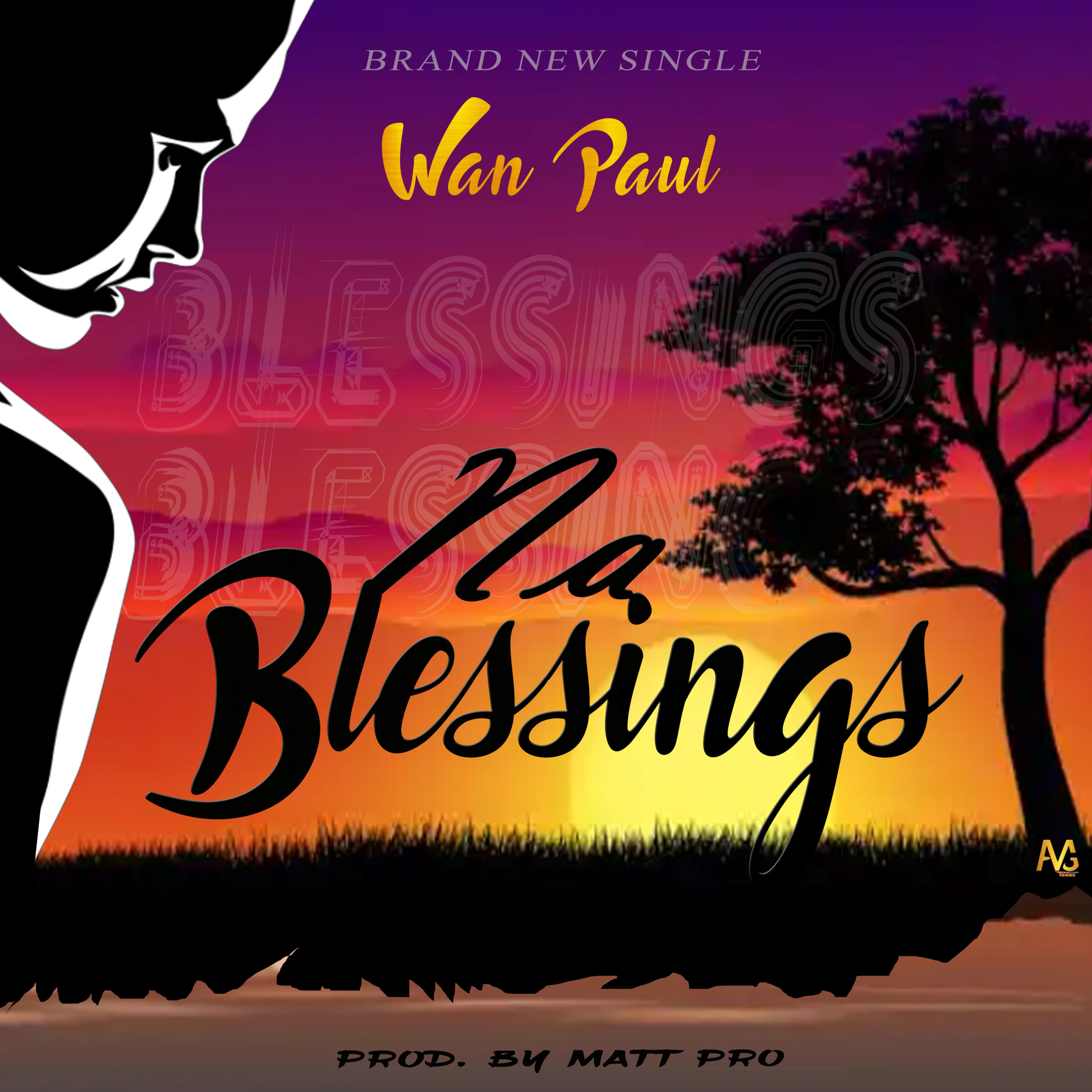 Download Music: Wan Paul – Na Blessings