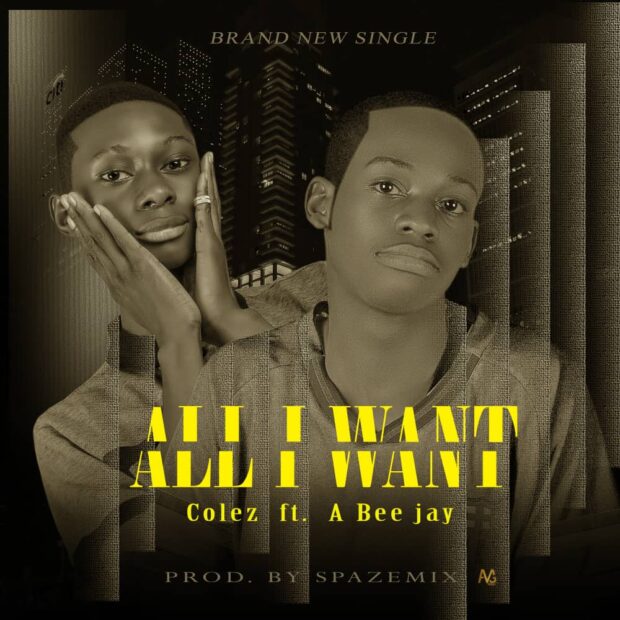 DOWNLOAD MUSIC: Colez ft A Bee Jay – All I Want